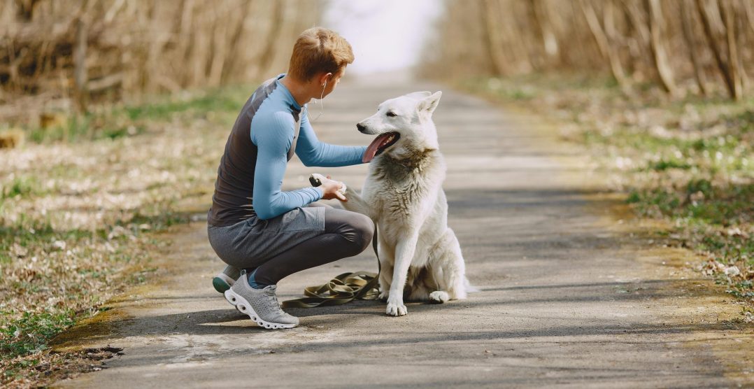 Mini-vacanța de 1 Decembrie: trei moduri sigure și inteligente de a petrece timp de calitate cu animalul tău de companie 