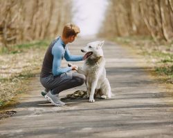 Mini-vacanța de 1 Decembrie: trei moduri sigure și inteligente de a petrece timp de calitate cu animalul tău de companie 