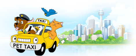 pettaxi